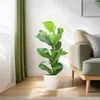 Ficus Lyrata z doniczką Viber w kolorze białym - 80 cm Podgląd zdjęcia produktu 3