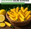 Chili Lemon Drop - Capsicum baccatum - Chilisamen - scharfe Produktbild-Vorschau 6