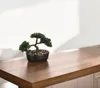 Plante décorative artificielle BONSAI, 23 cm Voir les images du produit 2