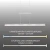 A product image showing a pendant lamp with diagrams illustrating its features. Produktbild-Vorschau