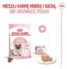 Royal Canin Chat – Trockenfutter für Mutterkatzen und Produktbild-Vorschau 20