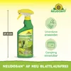 Neudorff Neudosan AF Blattlausfrei 500ml Spray gegen Produktbild-Vorschau 3