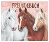 Depesche 13938 Miss Melody - Freundebuch in Rosa, mit Produktbild-Vorschau 1