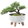 Pot de fleurs rond, bol blanc mat, 37,9 cm, hauteur 19,5 Voir les images du produit 1