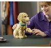 LEGO® Icons 11384 Golden Retriever Welpe Produktbild-Vorschau 22