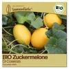 Samenliebe  Melone Samen | Di Cosenza - süß - samenfestes  Produktbild-Vorschau 1