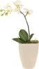 Orchideentopf Pflanzgefäß Kunststoff Modern Dekoration Produktbild-Vorschau 1