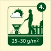 Eden Garden Trávna zmes Ihrisková (1 kg na 50 m²) Náhľad obrázku produktu 6