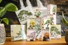 A collection of bonsai and cactus seed kits arranged on a wooden surface with a waterfall backdrop. Produktbild-Vorschau