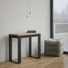 Ausziehbare Konsole 90x40/300 cm Gestell Tecno Evolution Produktbild-Vorschau 7
