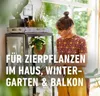 COMPO  Gelbsticker insektizidfrei - 10 Stück Produktbild-Vorschau 5