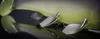 Quantum Gummiköder Tarp Shad (Natural Gun) Produktbild-Vorschau 9