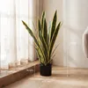 SUGIFT, plante artificielle en pot, Sansevieria Voir les images du produit 5