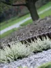 Palisáda zahradní 250 cm - barva: terakota Anteprima dell’immagine prodotto 3