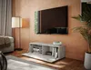 PLATAN ROOM Fernsehschrank TV-Lowboard 105 cm breit Produktbild-Vorschau 8