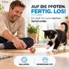 20 TLG. Zestaw zabawek dla kotów Zabawki dla różnych kotów, Podgląd zdjęcia produktu 6