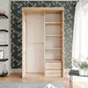 Zweitüriger Schiebetürenschrank Kleiderschrank PEDRI 120 cm Produktbild-Vorschau 3