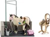 schleich HORSE CLUB 42104, 5 lat(a), Wielobarwny, Plastik Podgląd zdjęcia produktu 2