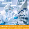 Lions Mane Výtažek z lví hřívy Hericium Erinaceus - prášek Náhled obrázku produktu 6