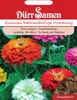 Dürr-Samen - Zinnien Dahlienblütige Prachtmischung Produktbild-Vorschau 2