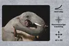 MuchoWow® Mauspad Mousepad Elefant - Männlich - Tiere - Produktbild-Vorschau 2