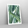 Poster - Poster ohne Rahmen - Exotisch Blätter Grün - 50x70 Produktbild-Vorschau 7