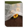 Tessuto non tessuto per giardino 30 g/m² 1 m x 10 m Anteprima dell’immagine prodotto 3