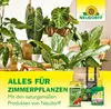 Neudorff Blautafeln für Thripse und fliegende Schädlinge, Produktbild-Vorschau 8