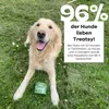 Treatsy Probiotika, Präbiotika, Postbiotika & Psyllium für Produktbild-Vorschau 8