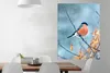 MuchoWow® Poster Rotkehlchen - Vogel - Schnee - Herbstliche Produktbild-Vorschau 2