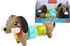 Mattel Fisher-Price FP Pets Klicken & Drehen Produktbild-Vorschau 13