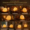 LED Porzellan Igel Groß Warmweiß 6H Timer Herbstdeko Edle Produktbild-Vorschau 5
