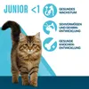 Perfect Fit Junior, droogvoer voor kittens met kip, 7 kg Productafbeelding-voorbeeld 9