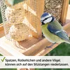 zooprinz Vogelhaus Bird Kitchen Braun mit Aufhängung Produktbild-Vorschau 4