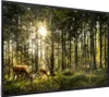 MuchoWow® MuchoWow® Gerahmtes Poster Hirsche - Natur - Wald Produktbild-Vorschau 8