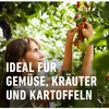 Compo Pilzfrei Revus 20 ml Produktbild-Vorschau 5