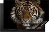 KitchenYeah© Herdabdeckplatte Tiger - Wilde Tiere - Porträt Produktbild-Vorschau 1