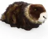 Carl Dick Murmeltier liegend ca. 23cm 3535 Kuscheltier, Produktbild-Vorschau 3