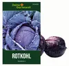 Rotkohl Roodkop 2 Samen - Brassica oleracea - Rotkohlsamen Produktbild-Vorschau 1