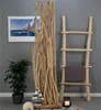 ZWEIGE RAUMTEILER "BOTANIC" | Teak Holz, 170 cm | Äste Produktbild-Vorschau 6