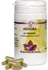 Holisan Ashoka (60 capsules) Productafbeelding-voorbeeld 1