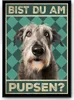Irischer Wolfshund - Bist du am Pupsen? Hunde Poster Produktbild-Vorschau 1