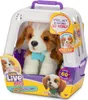 Moose Little Live Pets My Real Puppy 26548 Podgląd zdjęcia produktu 8