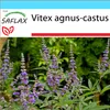 SAFLAX Darčeková sada - cudný strom - Vitex agnus-castus - Náhľad obrázku produktu 10