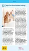 Katzen-Clicker-Box Produktbild-Vorschau 8