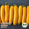 Samenliebe  Zucchini Samen | Gelbe Zucchini - samenfestes  Produktbild-Vorschau 4