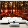 Basera Selbstklebende Fototapete Waldmotiv c-B-0127-a-d, Produktbild-Vorschau 1