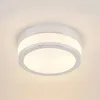 A ceiling lamp is shown against a light background. Produktbild-Vorschau