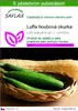 SAFLAX - Luffa houbová okurka - Luffa aegyptica syn. L. Náhled obrázku produktu 1