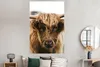 MuchoWow® Poster Schottischer Highlander - Kuh - Gras - Produktbild-Vorschau 4